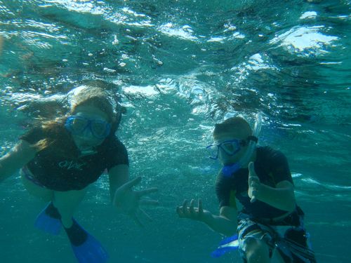 Harvest Caye Snorkeling Excursion Trip Prices