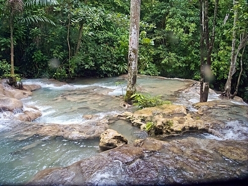 Falmouth Jamaica dunns falls Cruise Excursion Reviews