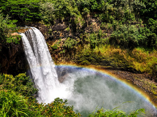 Hilo (Big Island) Mauna Loa macadamia nut Excursion Prices