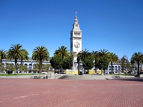 San Francisco sightseeing bus Shore Excursion Reviews