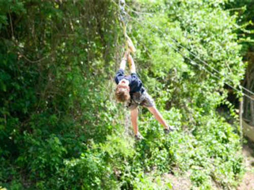 Roatan Monkeys Excursion Prices