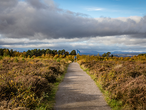 Invergordon Highlands Sightseeing Trip Prices