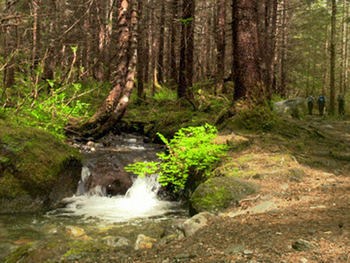 Juneau crevice Tour Tickets