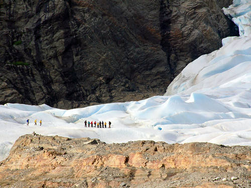 Juneau glacial Cruise Excursion Tickets