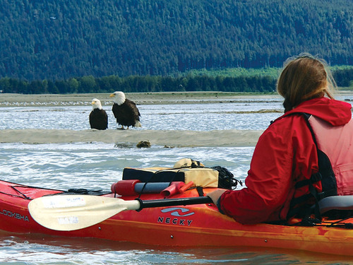 Juneau Alaska Mendenhall Glacier Trip Booking