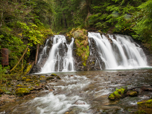 Juneau Alaska Salmon Baked Shore Excursion Booking