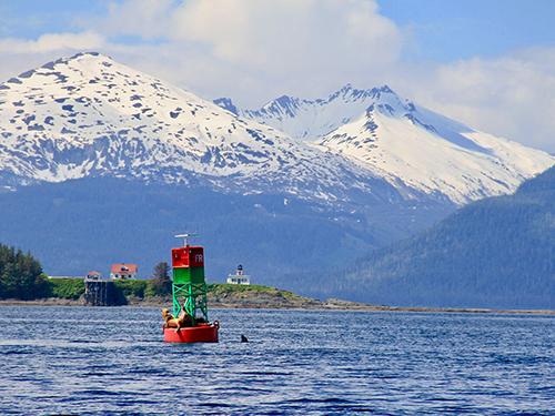 Juneau Wildlife Kayak Trip Prices