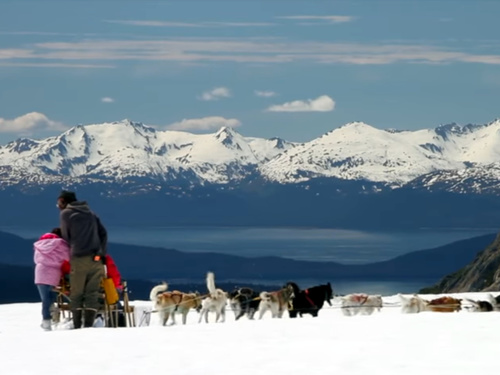 Juneau Alaska helicopter glacier Shore Excursion Tickets