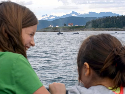 Juneau ocean kayak Excursion Reviews