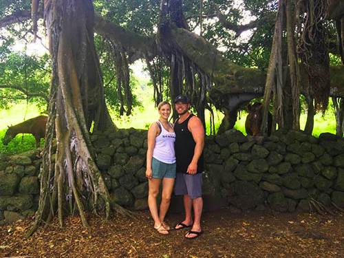 Kahului Classic Maui Sightseeing Excursion