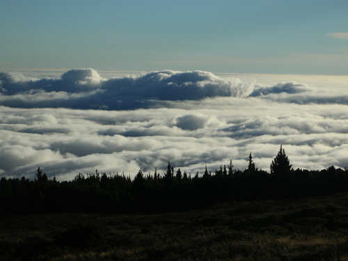 Maui Kahului Haleakala crater Cruise Excursion Tickets