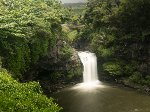 Maui (Kahului) wine Cruise Excursion Prices