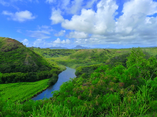 Kauai (Nawiliwili) fern grotto Trip Tickets