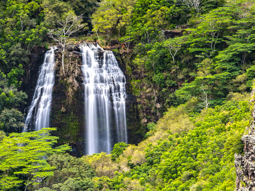 Kauai (Nawiliwili)  Excursion Prices