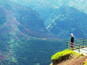 Kauai Waimea Canyon, Wailua River and Fern Grotto Excursion