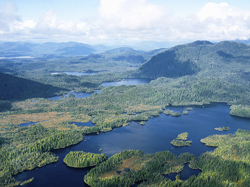 Ketchikan Alaska / USA Misty Fjord National Monument Flightseeing Shore Flightseeing Excursion Booking