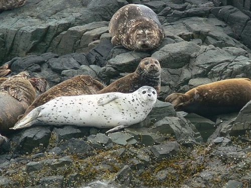 Ketchikan Lighthouse Shore Excursion Reviews