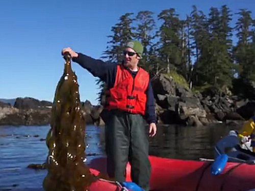 Ketchikan wildlife exploration zodiac Trip Cost