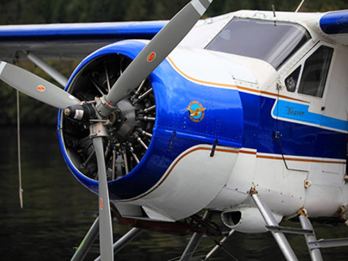 Ketchikan pontoon plane Flightseeing Tour Prices