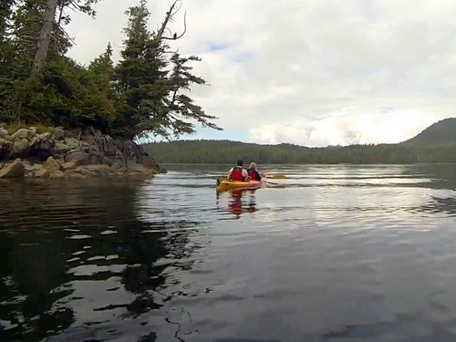 Ketchikan Eagle sightseeing kayaking Shore Excursion Reviews