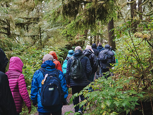 Ketchikan raptor center Shore Excursion Booking