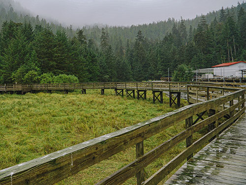 Ketchikan rainforest sanctuary Trip Reviews