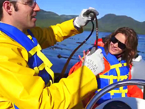 Ketchikan Alaska wildlife exploration zodiac Tour Prices