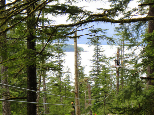 Ketchikan zipline Trip Reviews