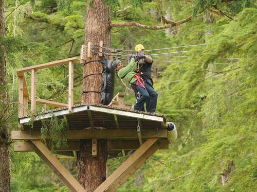 Ketchikan Alaska canopy Tour Booking