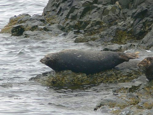 Ketchikan Lighthouse Shore Excursion Booking