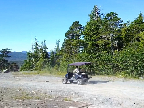 Ketchikan electric atv family Trip Prices