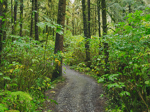 Ketchikan raptor center Trip Cost