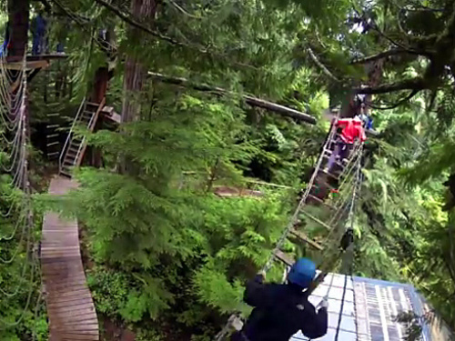 Ketchikan Alaska zipline Excursion Prices