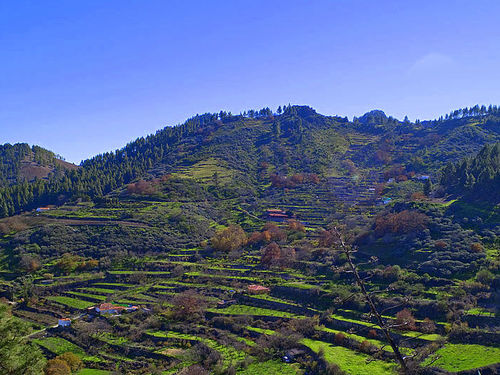 Las Palmas  Gran Canaria Valleseco guided Tour Cost