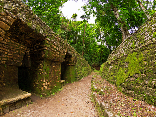 Las Palmas  Gran Canaria Ravine Guided Excursion Prices