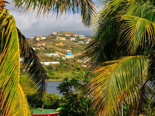 St. Kitts carving rocks Cruise Excursion Reviews