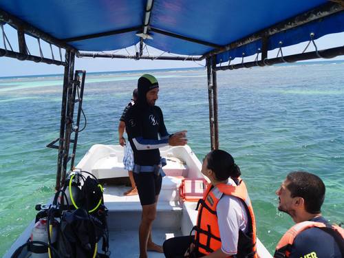 Costa Maya  Mexico (Mahahual) lion fish spearfishing Reservations