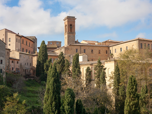 Livorno / Florence Italy Tea with Mussolini Cruise Excursion Reviews