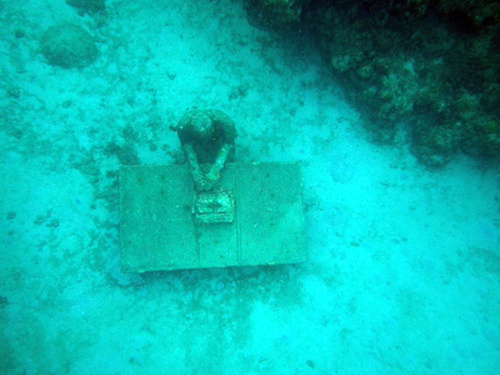 Grenada Underwater Sculpture Park Tour Booking