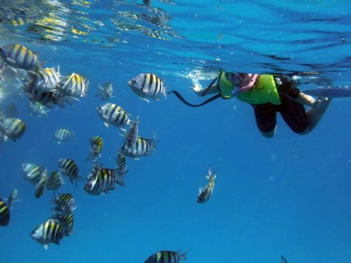 Barbados shipwreck snorkel Cruise Excursion