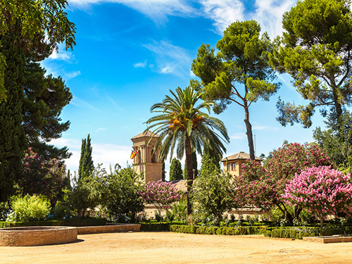 Malaga Cathedral Walking Excursion Prices