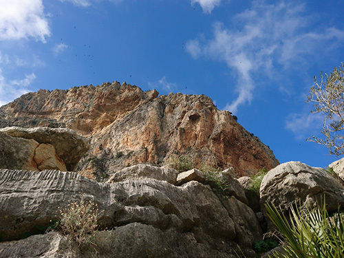 Malaga Caminito del Rey Cruise Excursion Tickets