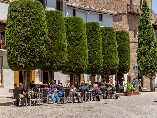 Malaga Spain Wine Museum Shore Excursion Tickets