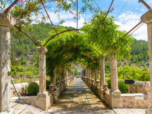 Mallorca Arab baths Tour Cost