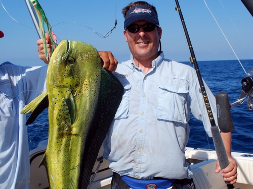 Cabo San Lucas tuna Excursion