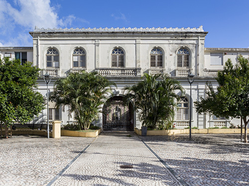 Martinique Schoelcher Library Walking Tour Reservations