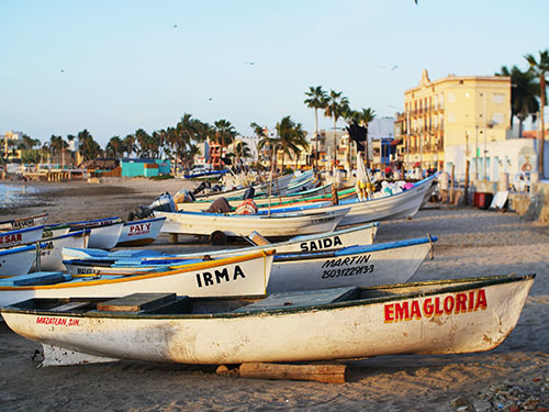 Mazatlan Mexico Pino Suarez Market Biking Excursion Prices