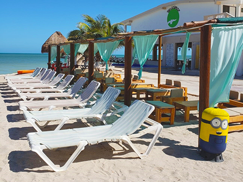 Merida from progreso Beach Break Tour Prices