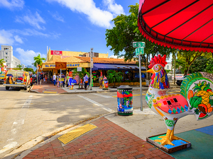 Miami Little Havana Food Tasting and Walking Excursion