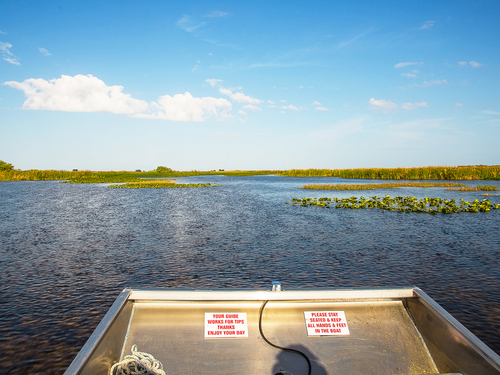 Miami  US jungle trail Excursion Reviews